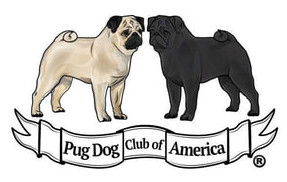 Pug Dog Club of America